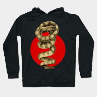 Brown-banded snake Hoodie